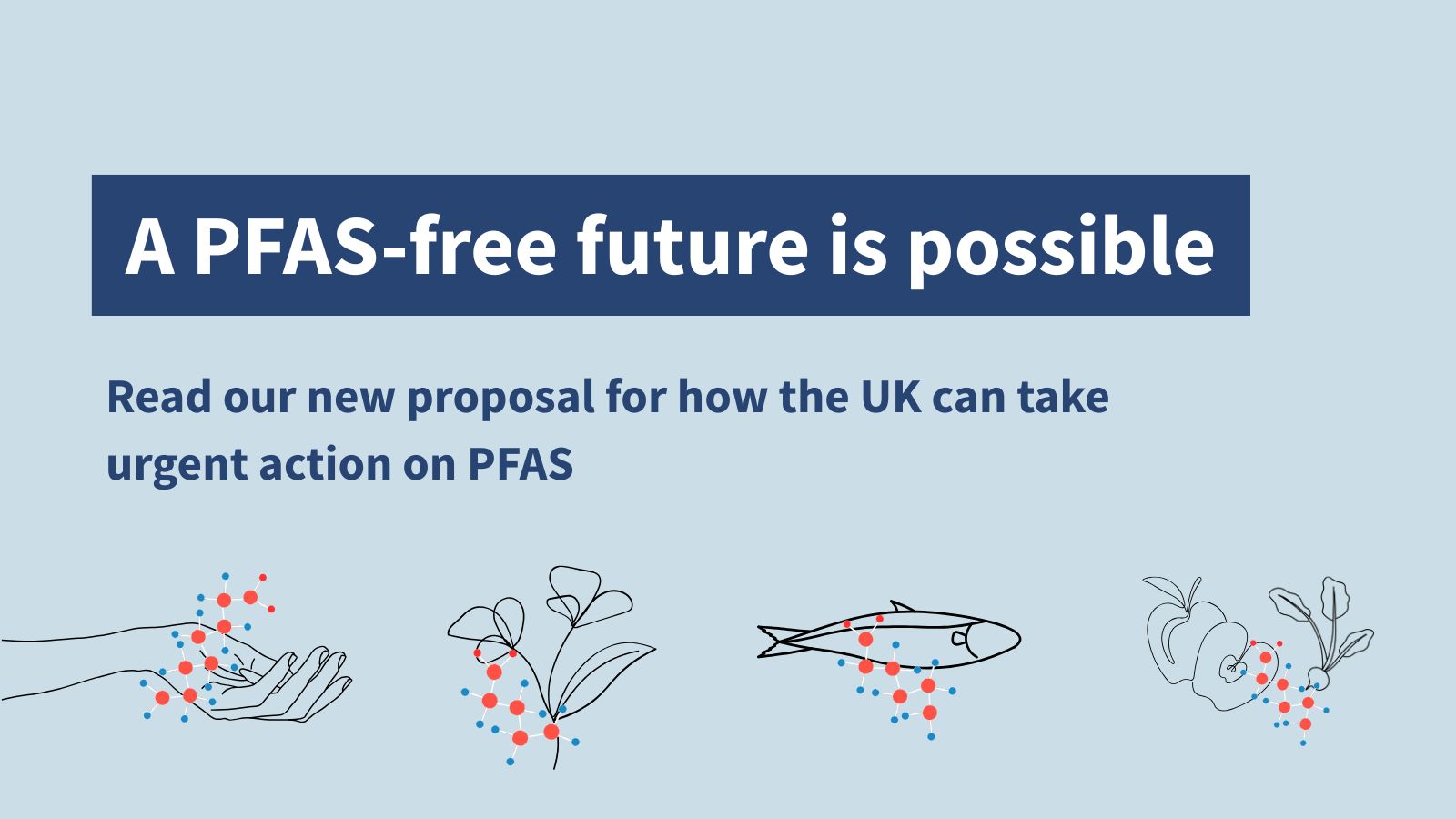 This proposal written by Fidra, CHEM Trust, Marine Conservation Society, Wildlife and Countryside Link and Breast Cancer UK, sets out a way forward for regulating PFAS ‘forever chemicals’ in the UK.